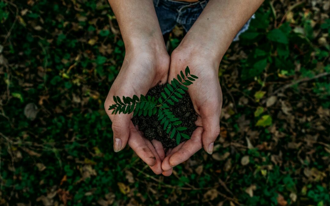 Jak dbać o środowisko? 10 sposobów, jak dbać o ziemię i chronić środowisko